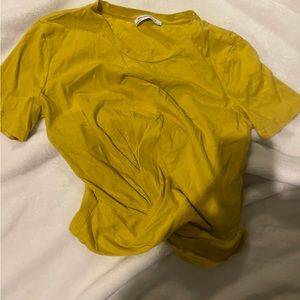 Zara crop Top